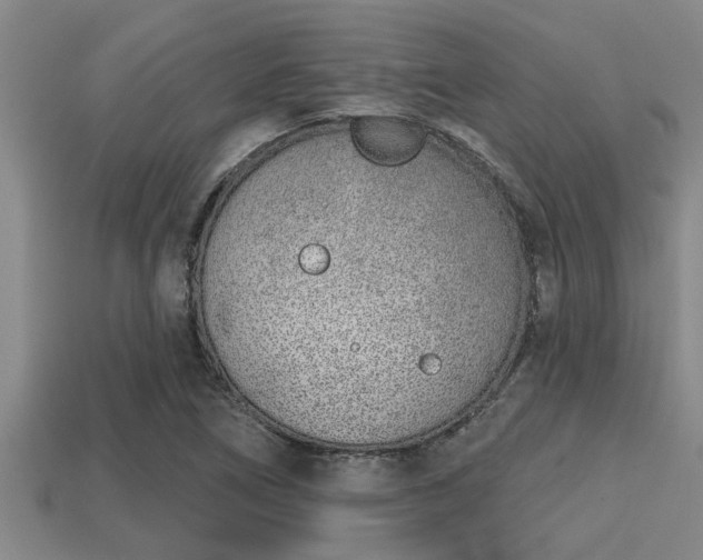 X0000113201266200909171506