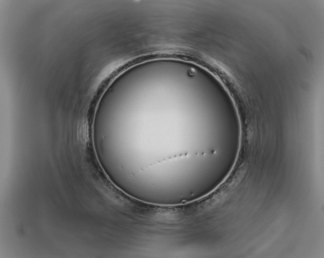 X0000113201267200909171506