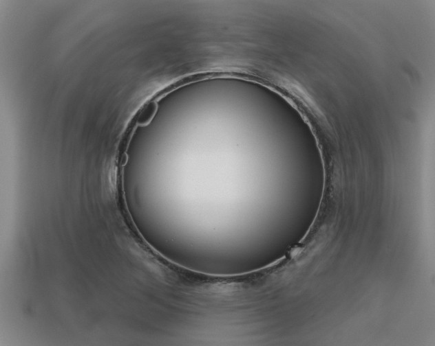 X0000113201268200909171506