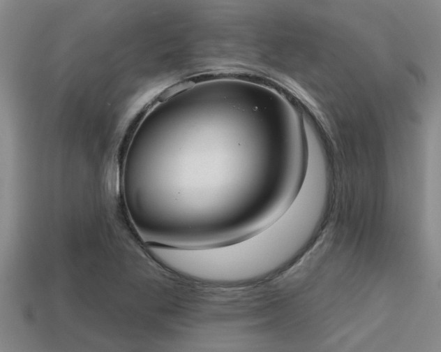 X0000113201269200909171506