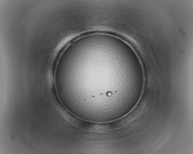 X0000113201271200909171506