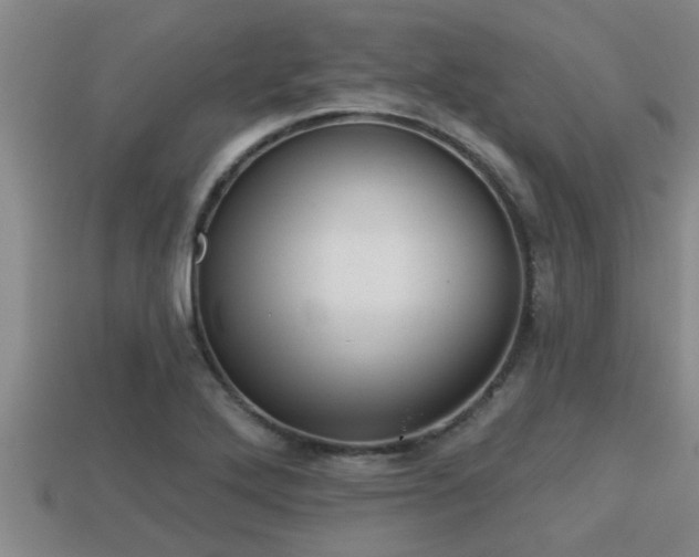 X0000113201272200909171506