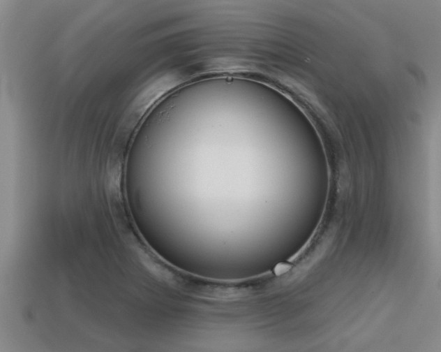 X0000113201273200909171506