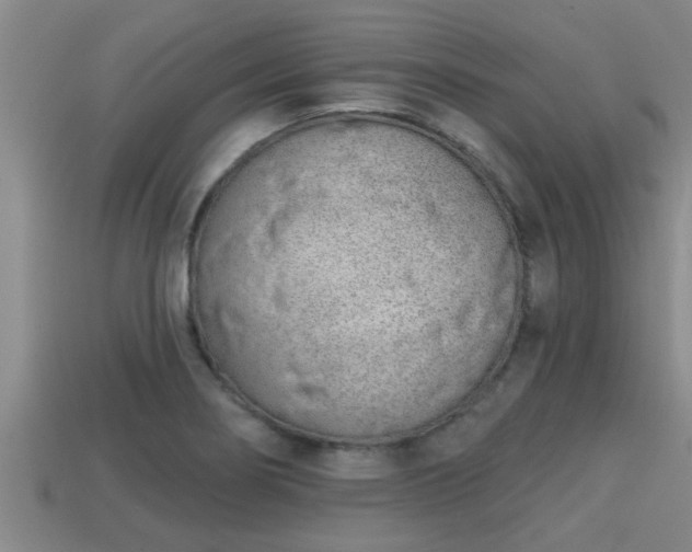 X0000113201274200909171506