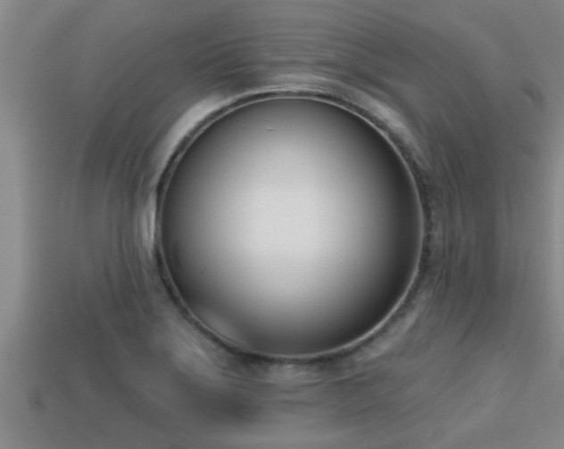 X0000113201275200909171506