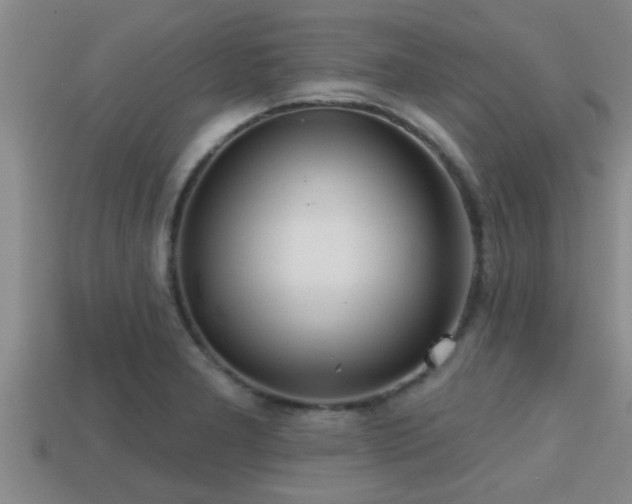 X0000113201277200909171506