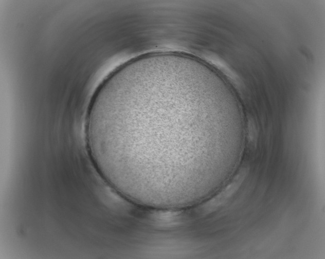 X0000113201278200909171506