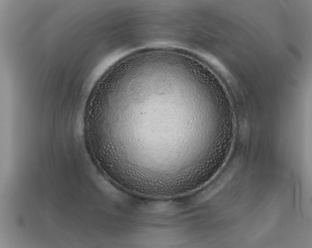 X0000113201279200909171506