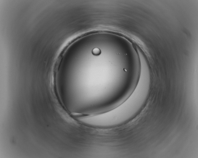 X0000113201280200909171506