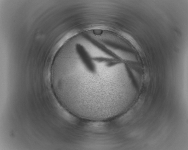 X0000113201282200909171506
