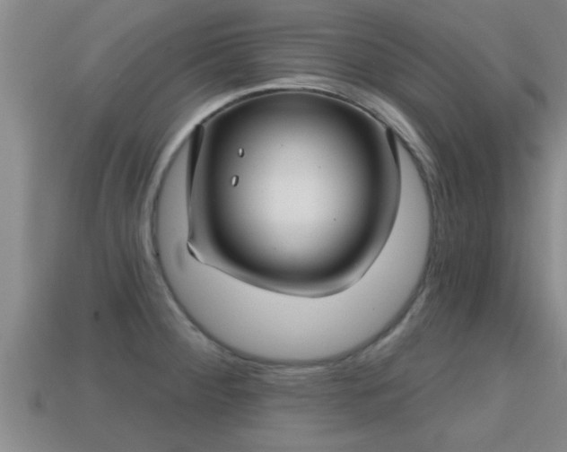 X0000113201284200909171506