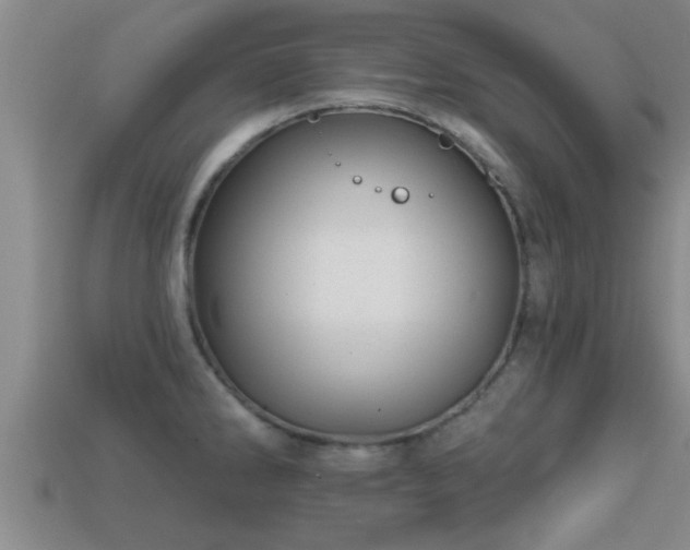 X0000113201286200909171506