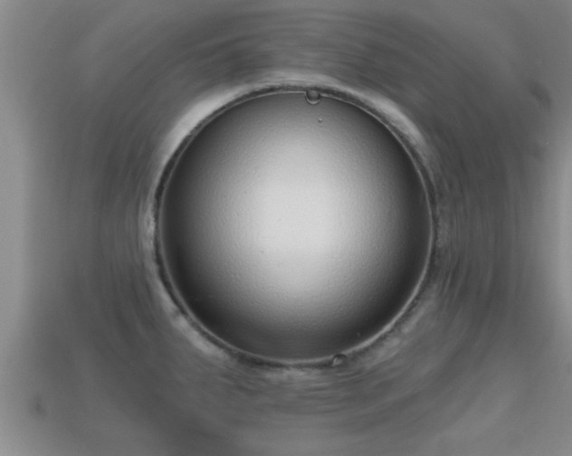 X0000113201287200909171506