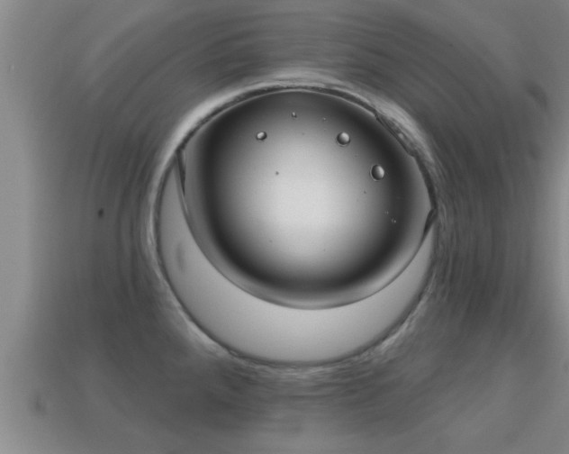 X0000113201288200909171506