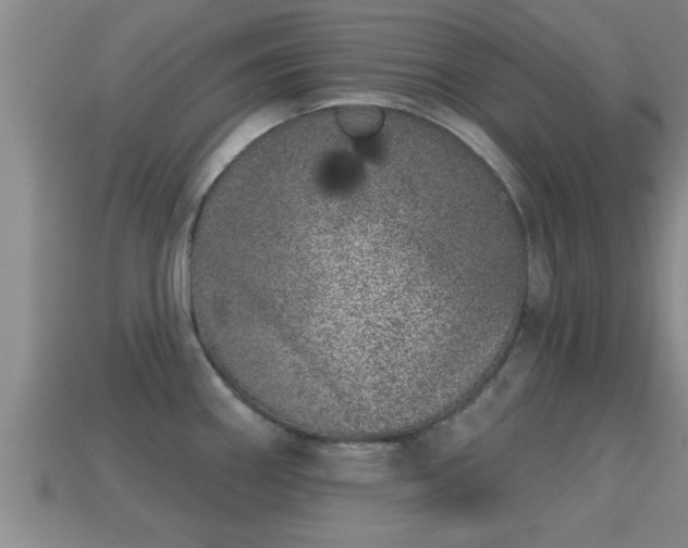 X0000113201290200909171506