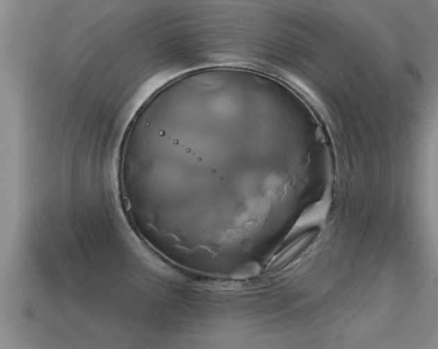 X0000113201291200909171506