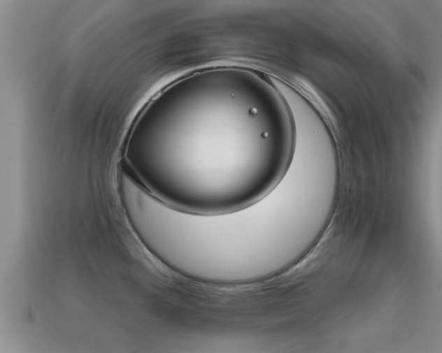 X0000113201292200909171506