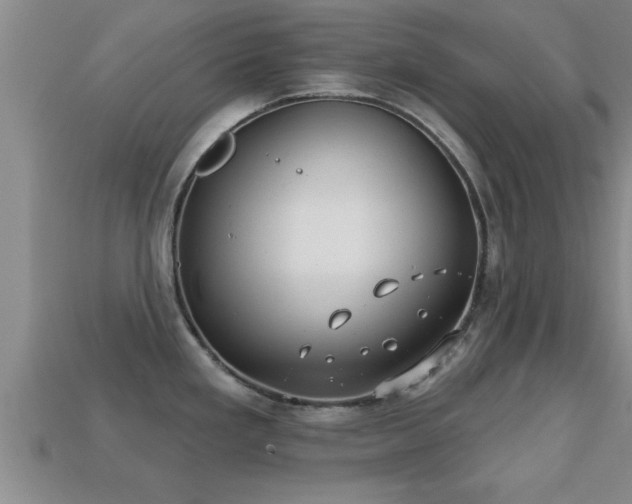 X0000113201293200909171506