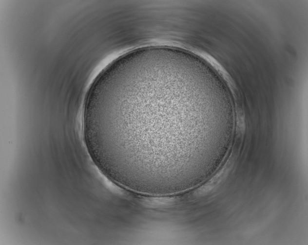 X0000113201294200909171506