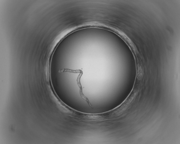 X0000113201295200909171506