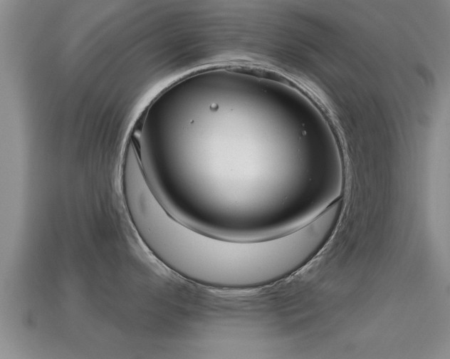 X0000113201296200909171506