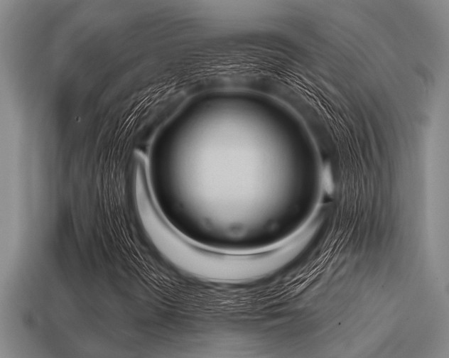 X0000113201298200909171505