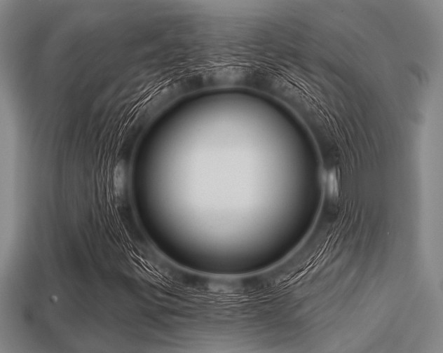 X0000113201299200909171505