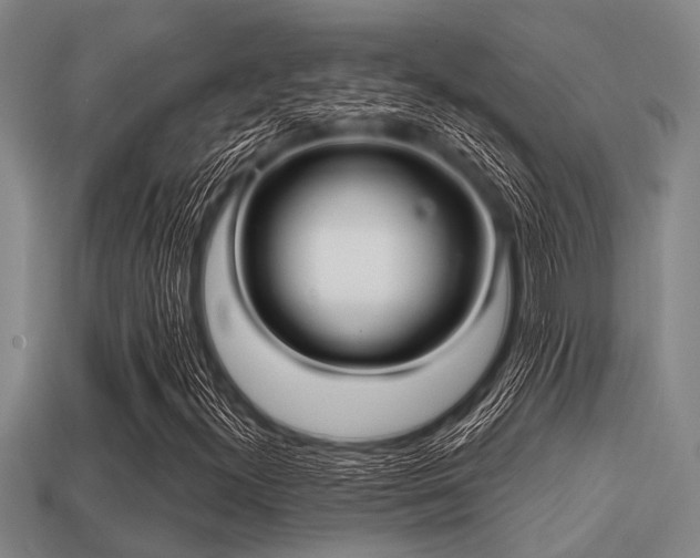 X0000113201300200909171505