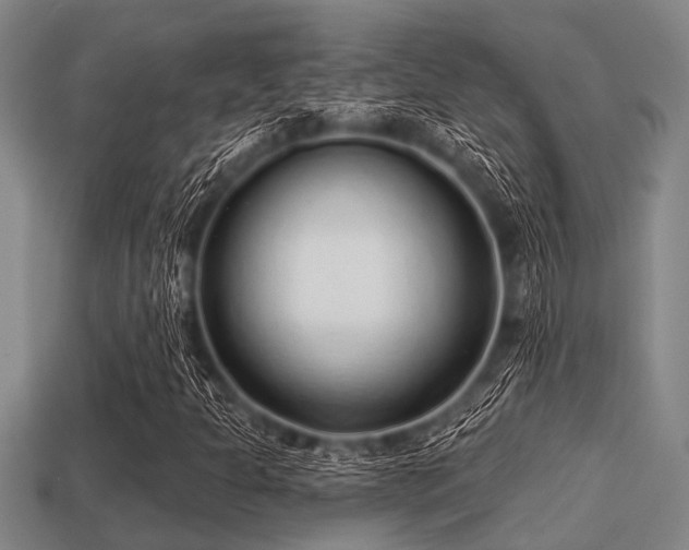 X0000113201301200909171505