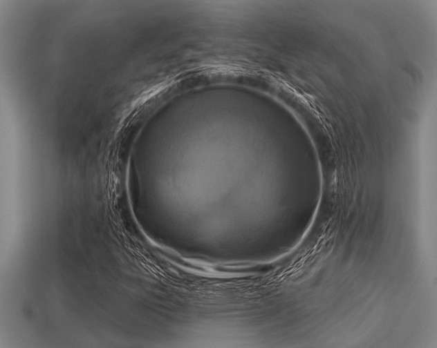 X0000113201303200909171505