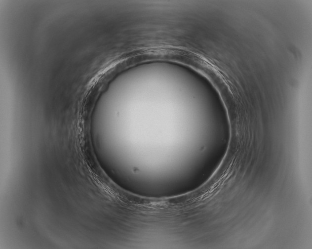 X0000113201304200909171505