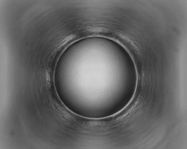 X0000113201305200909171505