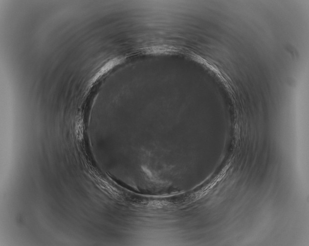 X0000113201306200909171505