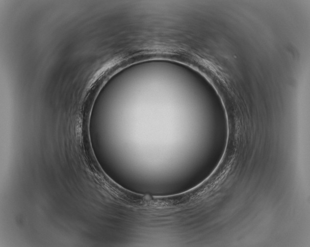 X0000113201307200909171505