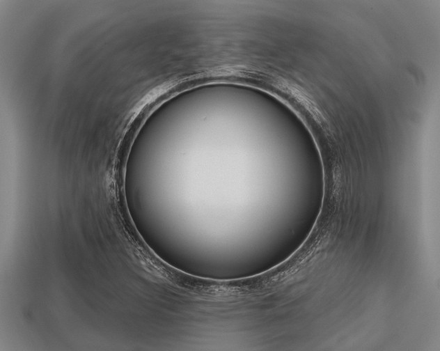 X0000113201308200909171505