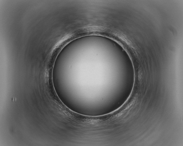 X0000113201309200909171505