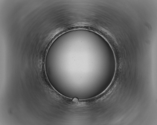 X0000113201313200909171505