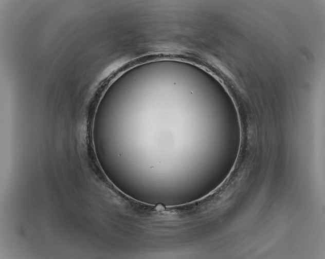 X0000113201315200909171505