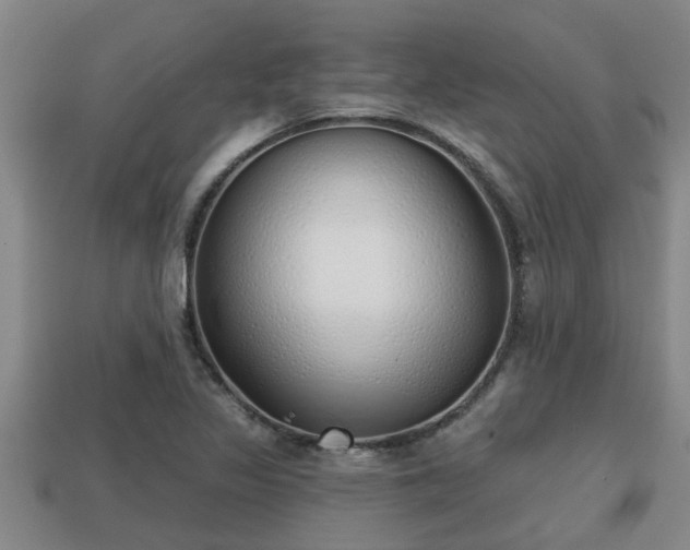 X0000113201317200909171505