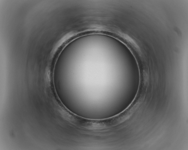 X0000113201318200909171505