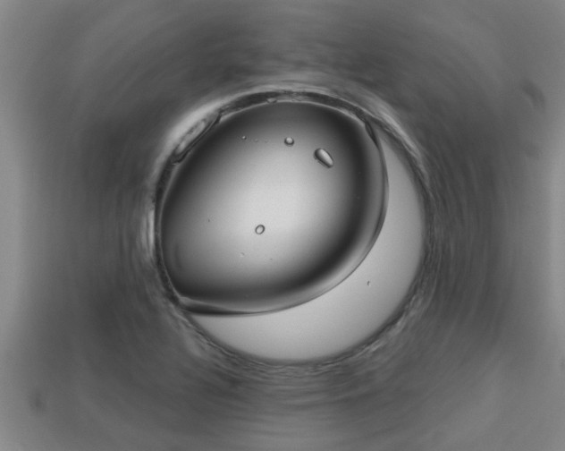 X0000113201320200909171505