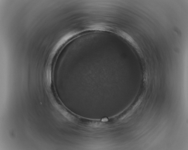 X0000113201323200909171506