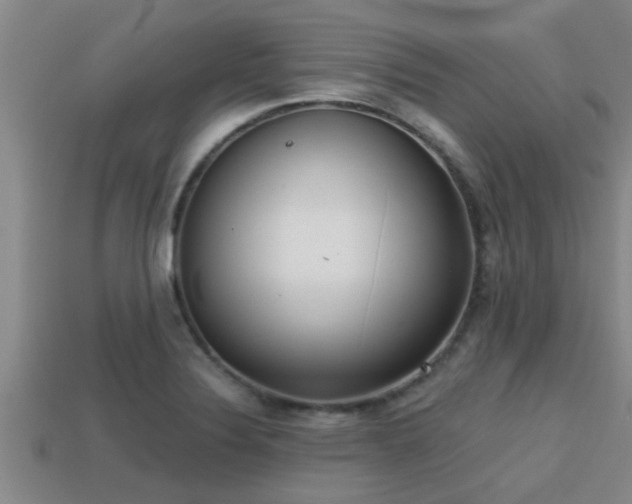 X0000113201324200909171506