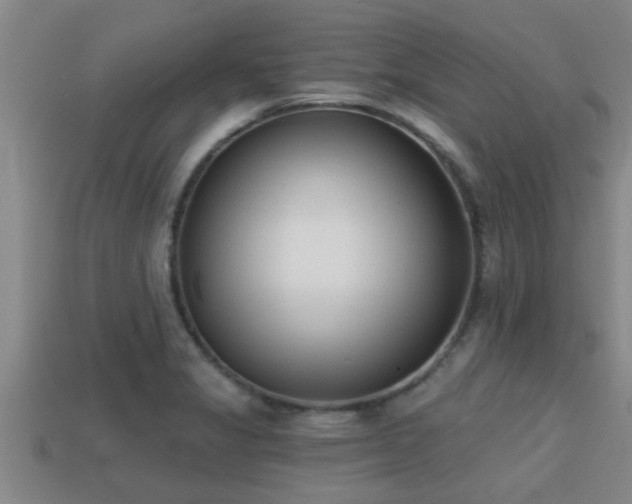 X0000113201325200909171506