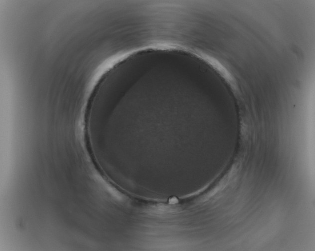 X0000113201327200909171506