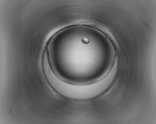 X0000113201328200909171506