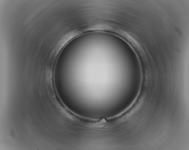 X0000113201329200909171506