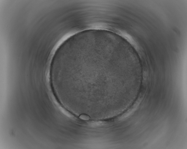 X0000113201331200909171506