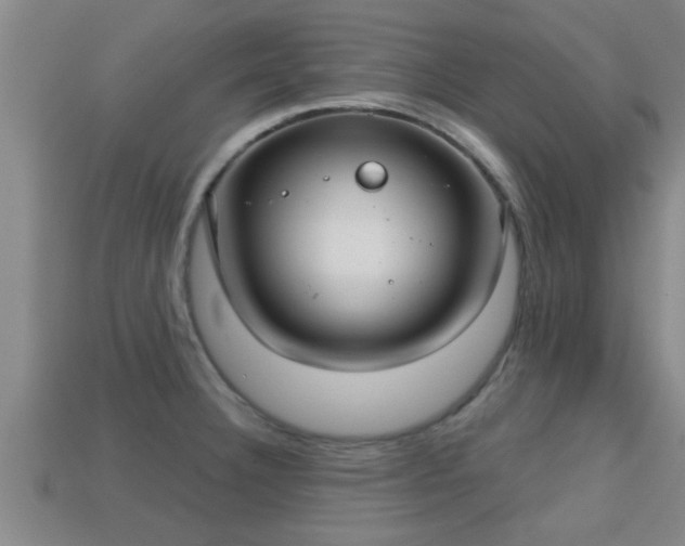 X0000113201332200909171506