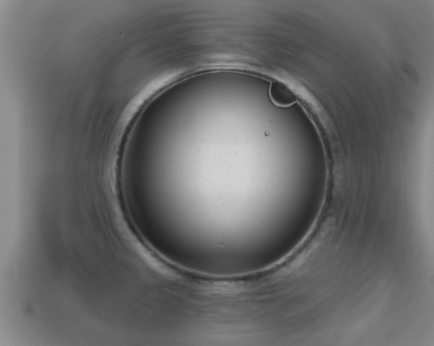 X0000113201333200909171506